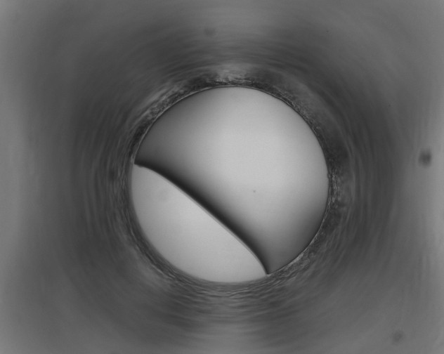 X0000097660648200802290923