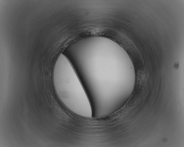 X0000097660650200802290923