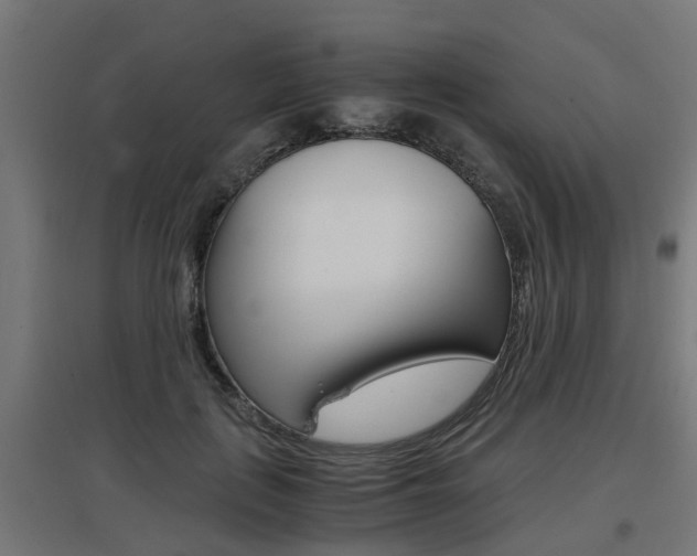 X0000097660651200802290923