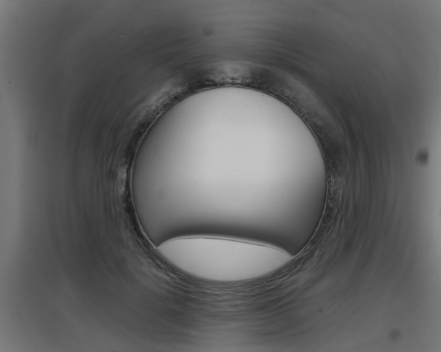 X0000097660652200802290923