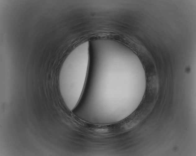 X0000097660653200802290923