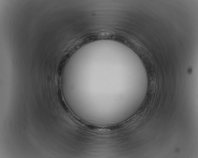 X0000097660654200802290923