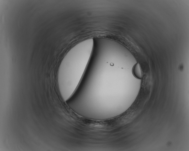 X0000097660655200802290923