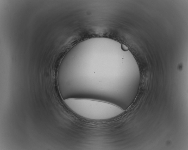 X0000097660656200802290923