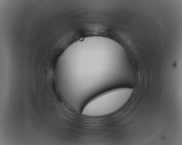 X0000097660657200802290923