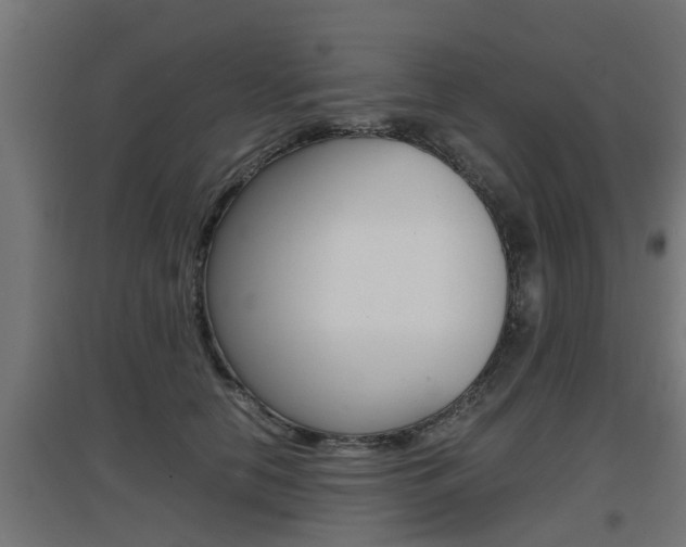 X0000097660658200802290923