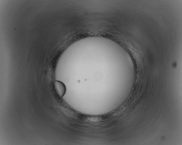 X0000097660659200802290923