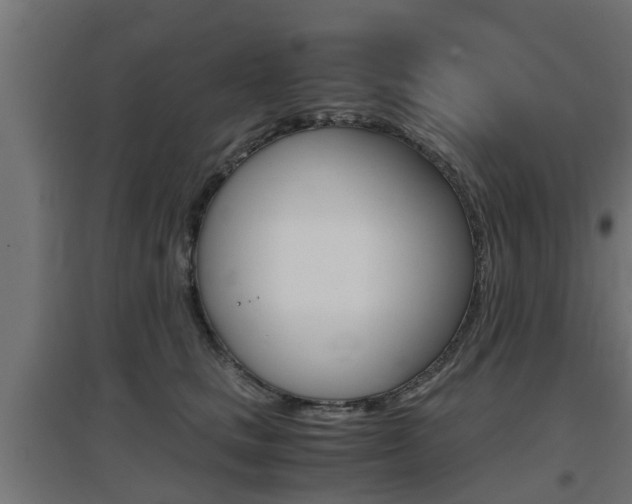X0000097660661200802290923