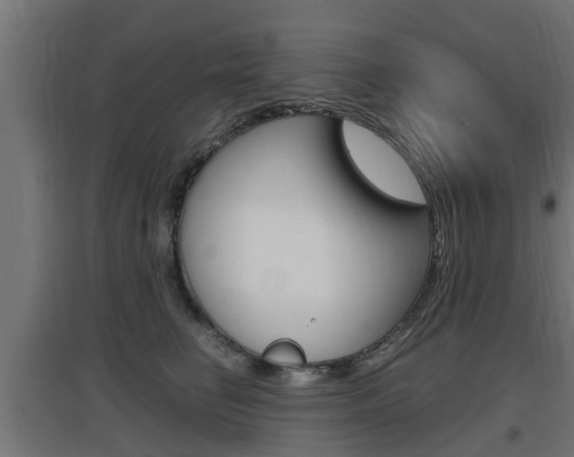 X0000097660662200802290923