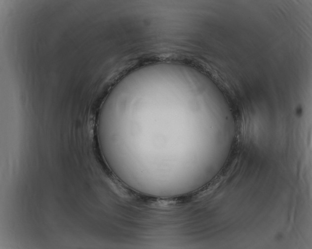 X0000097660664200802290923