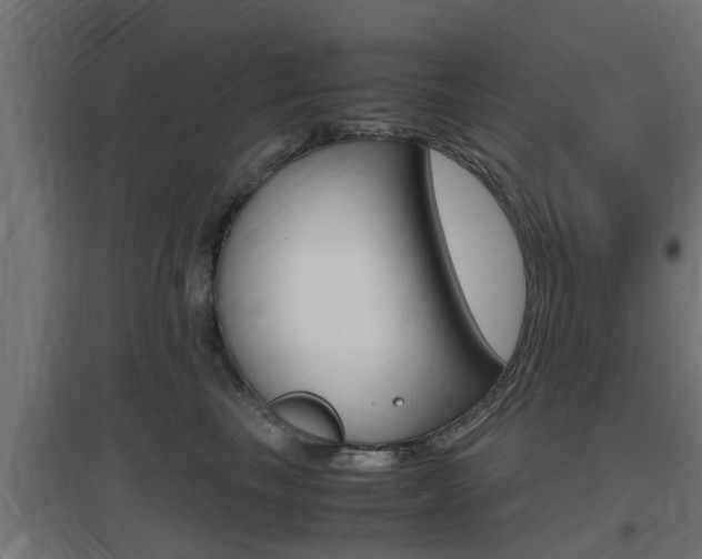 X0000097660665200802290923