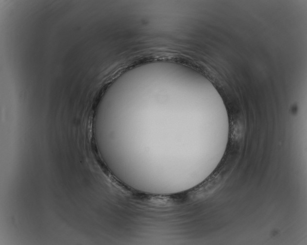 X0000097660666200802290923