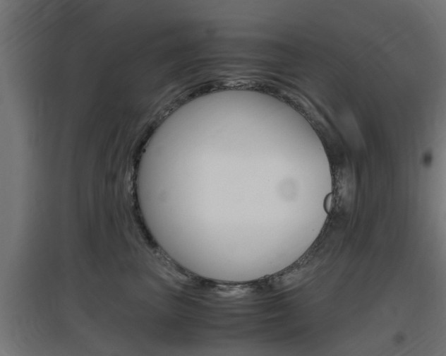 X0000097660667200802290923