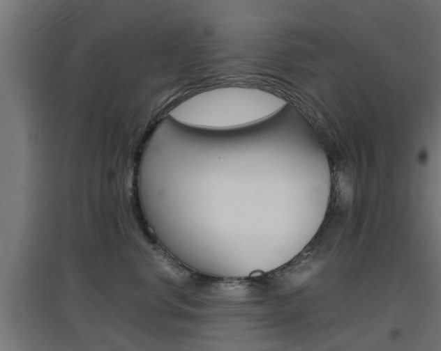 X0000097660668200802290923