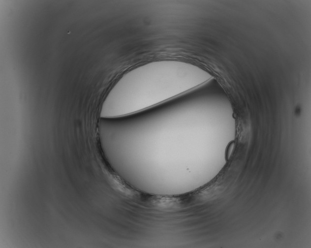 X0000097660670200802290923