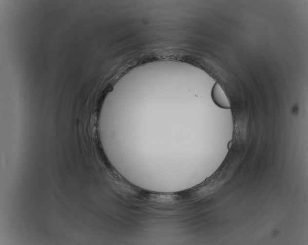 X0000097660671200802290923