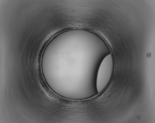 X0000097660674200802290922