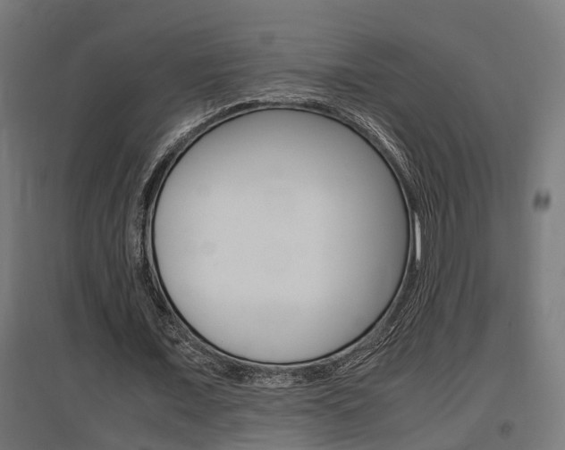 X0000097660675200802290922
