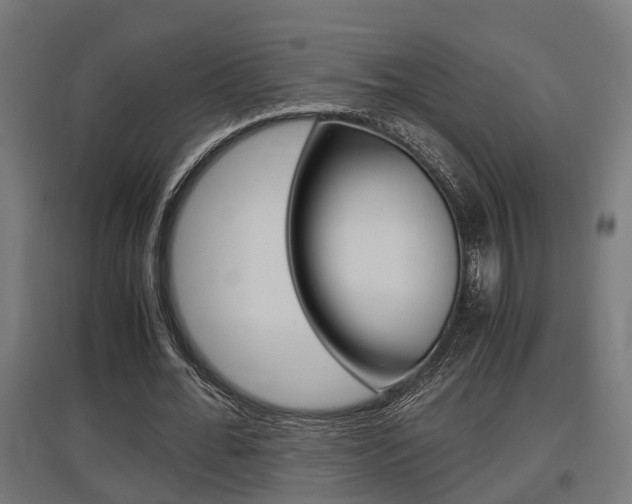 X0000097660676200802290922