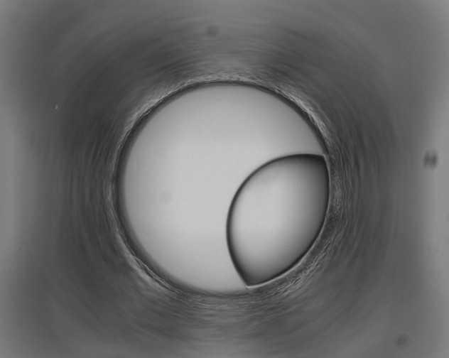 X0000097660677200802290922