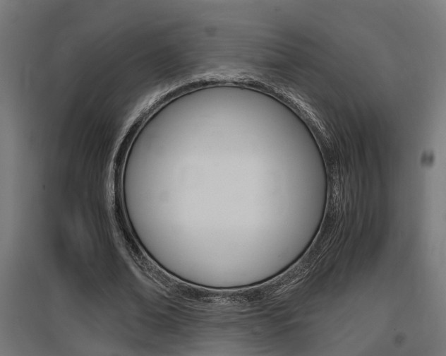 X0000097660678200802290922