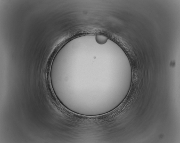 X0000097660679200802290922