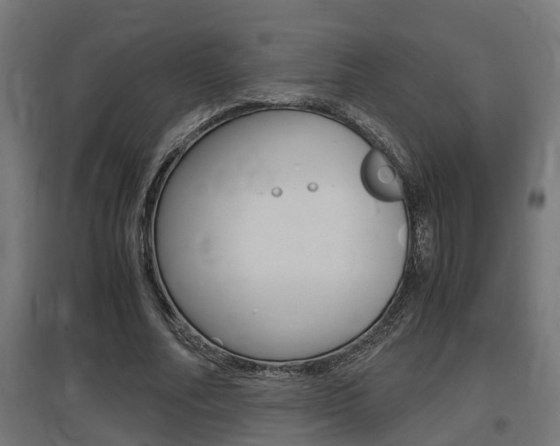 X0000097660682200802290922