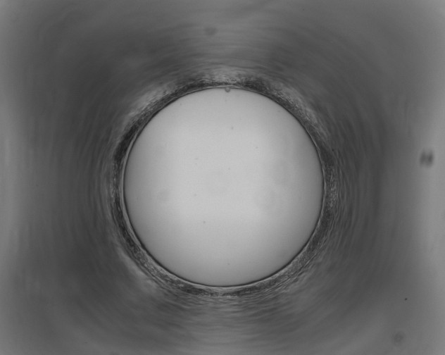 X0000097660683200802290922