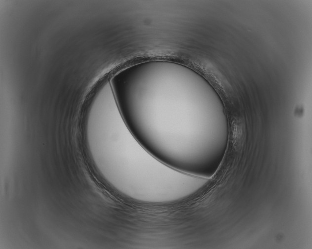 X0000097660684200802290922