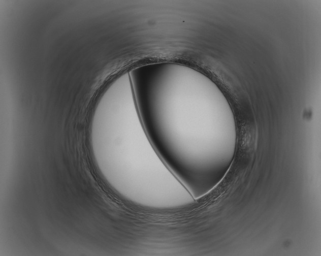 X0000097660685200802290922