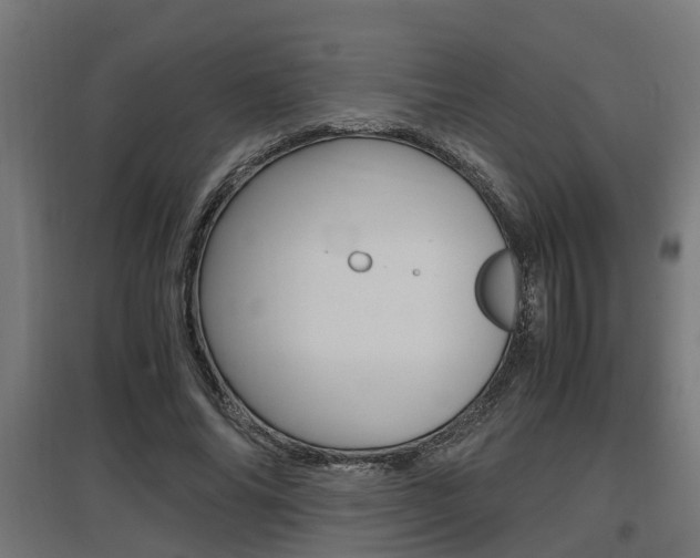 X0000097660686200802290922