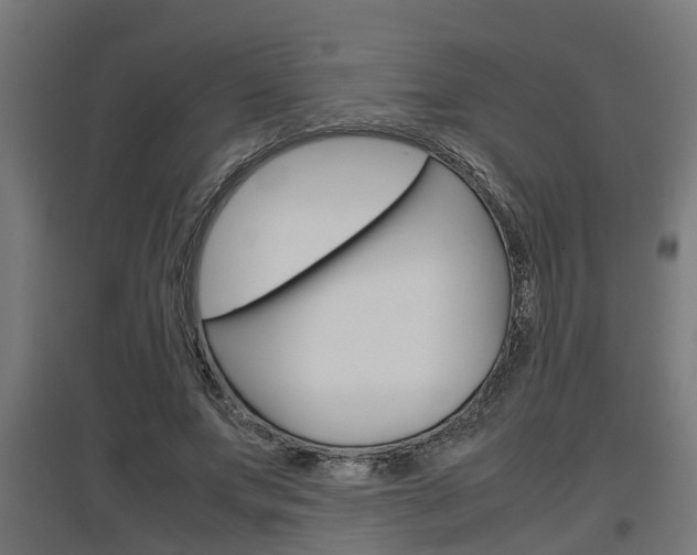 X0000097660687200802290922