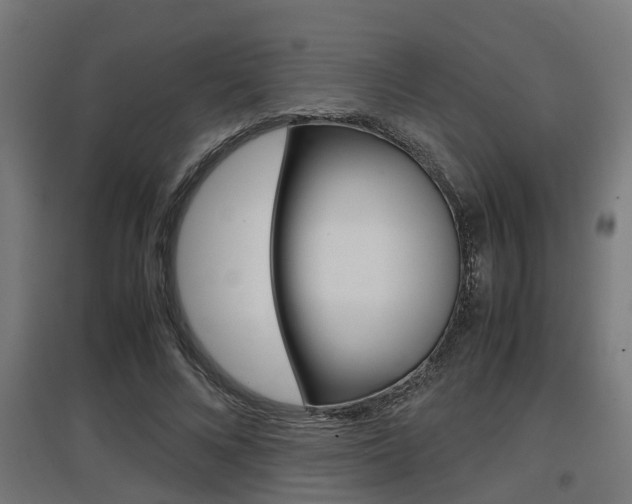 X0000097660688200802290922