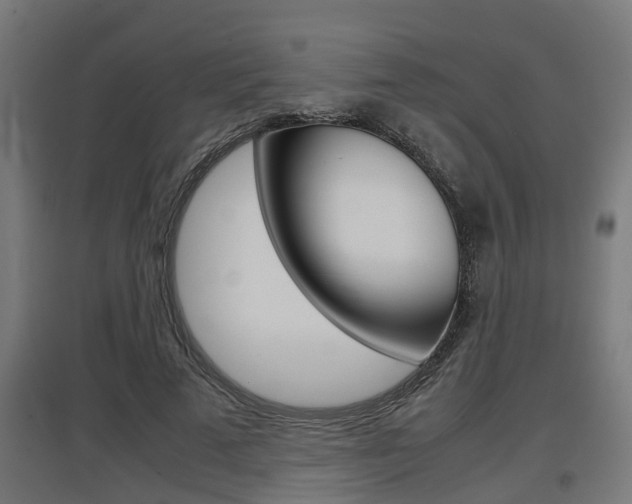 X0000097660689200802290922