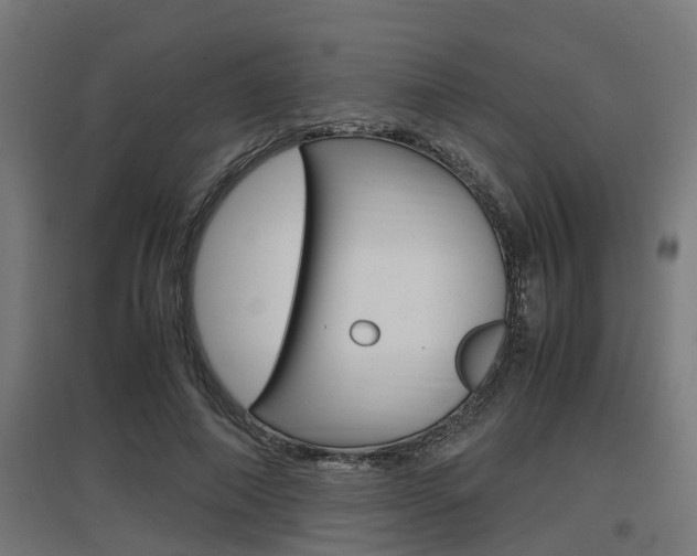 X0000097660690200802290922