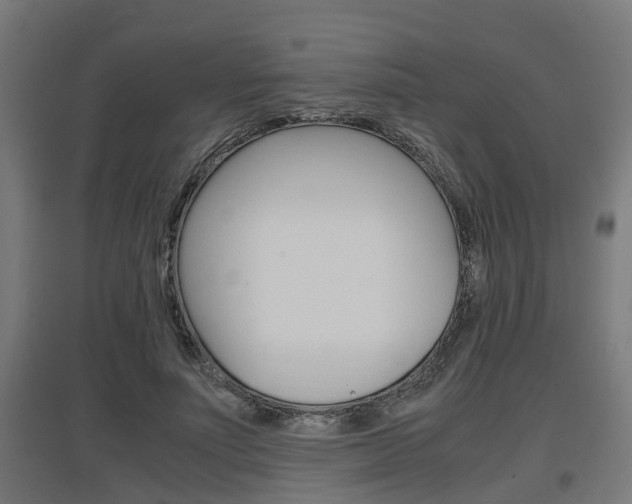 X0000097660691200802290922