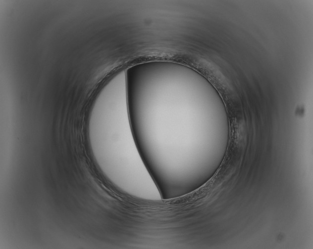 X0000097660692200802290922