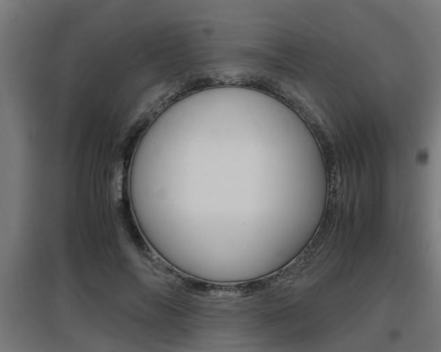 X0000097660694200802290922