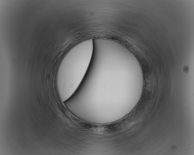 X0000097660695200802290922