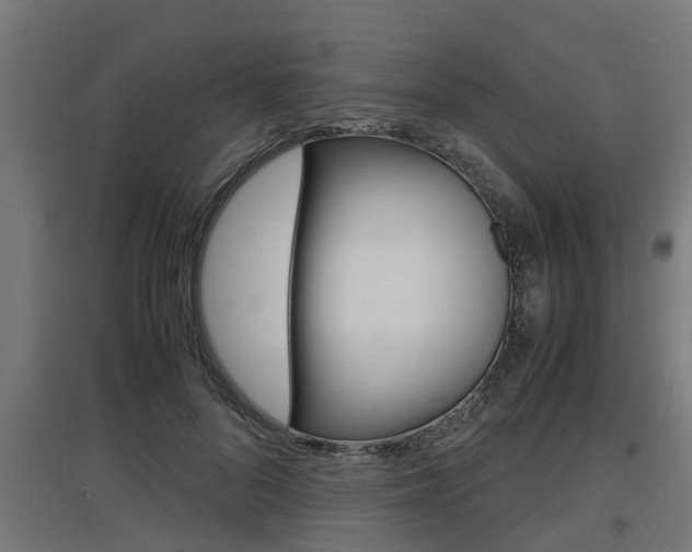 X0000097660696200802290922