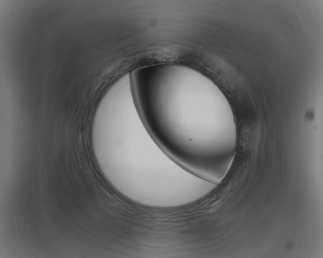 X0000097660697200802290922