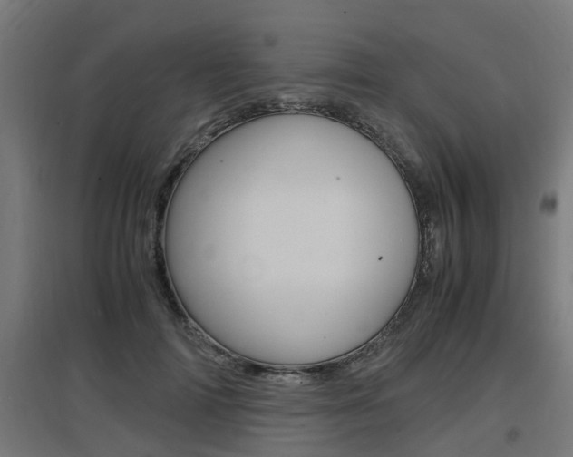 X0000097660698200802290922