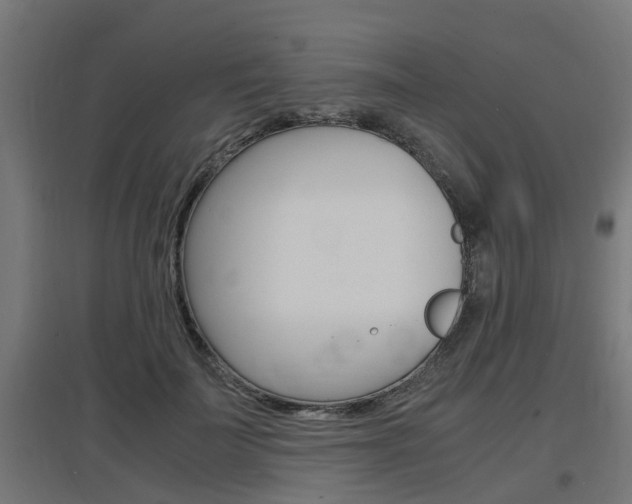 X0000097660699200802290922