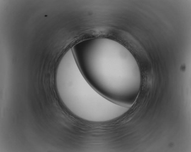 X0000097660700200802290922