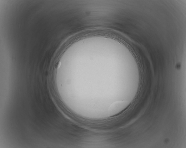 X0000097660701200802290922