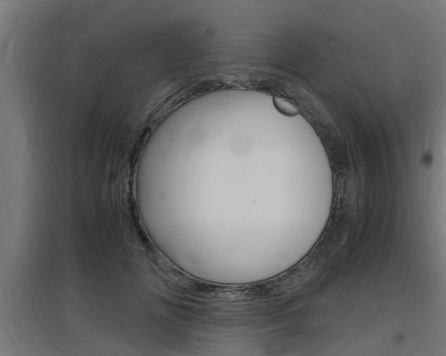 X0000097660702200802290922