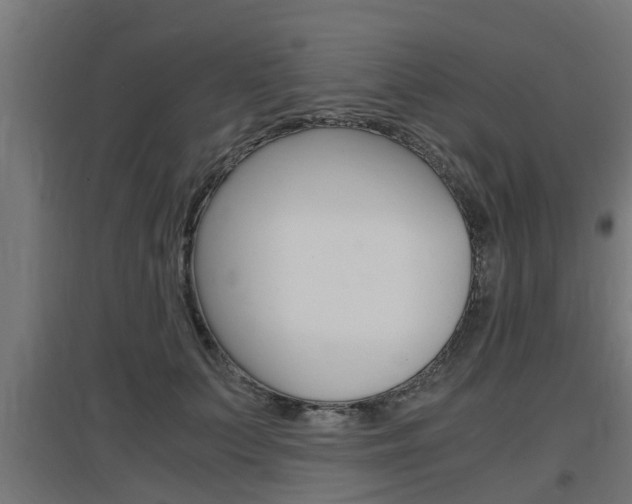X0000097660703200802290922