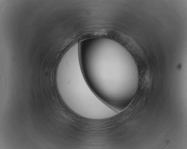 X0000097660704200802290922