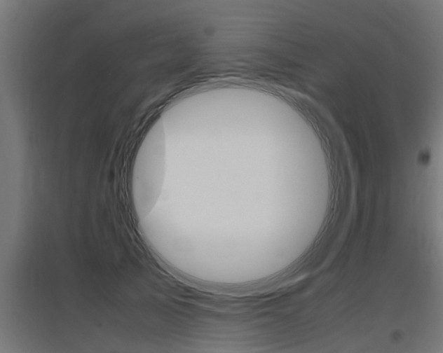 X0000097660705200802290922