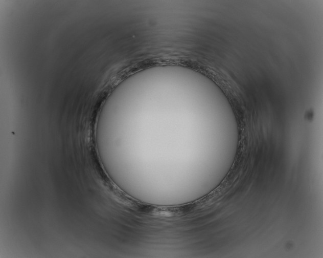 X0000097660706200802290922
